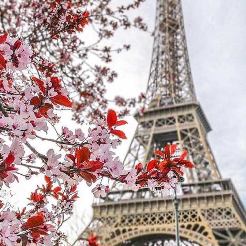 Meet your Posher, Elle G.